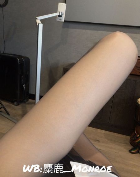 熊出没动画片全集100集免费观看